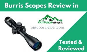 Burris Scopes Review