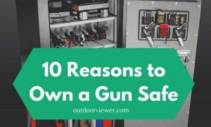 10 Reasons to Own a Gun Safe