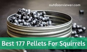 Best .177 Pellets for Squirrels