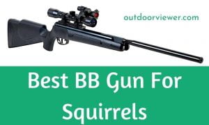 Best BB Gun For Squirrels