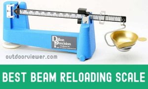 Best Beam Scale for Reloading