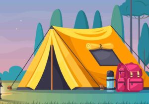 Must have camping gear