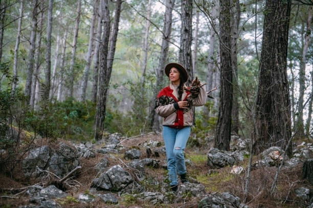 Woman collecting wood for a fire in the forest