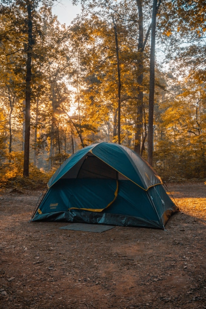 A small tent in a clearing