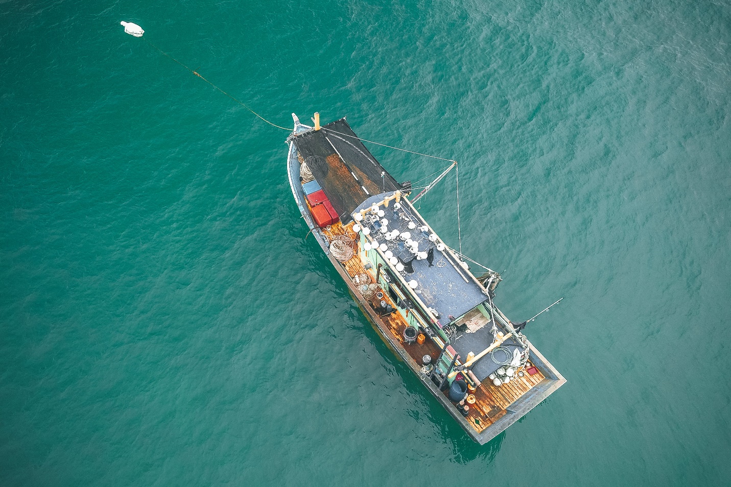 What to consider before going on a deep-sea fishing trip