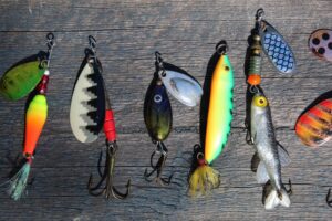 Fishing with bait