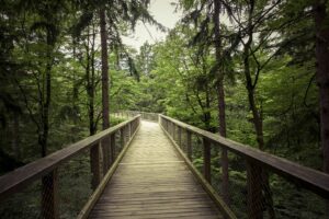 7 Best national parks in the US for hiking