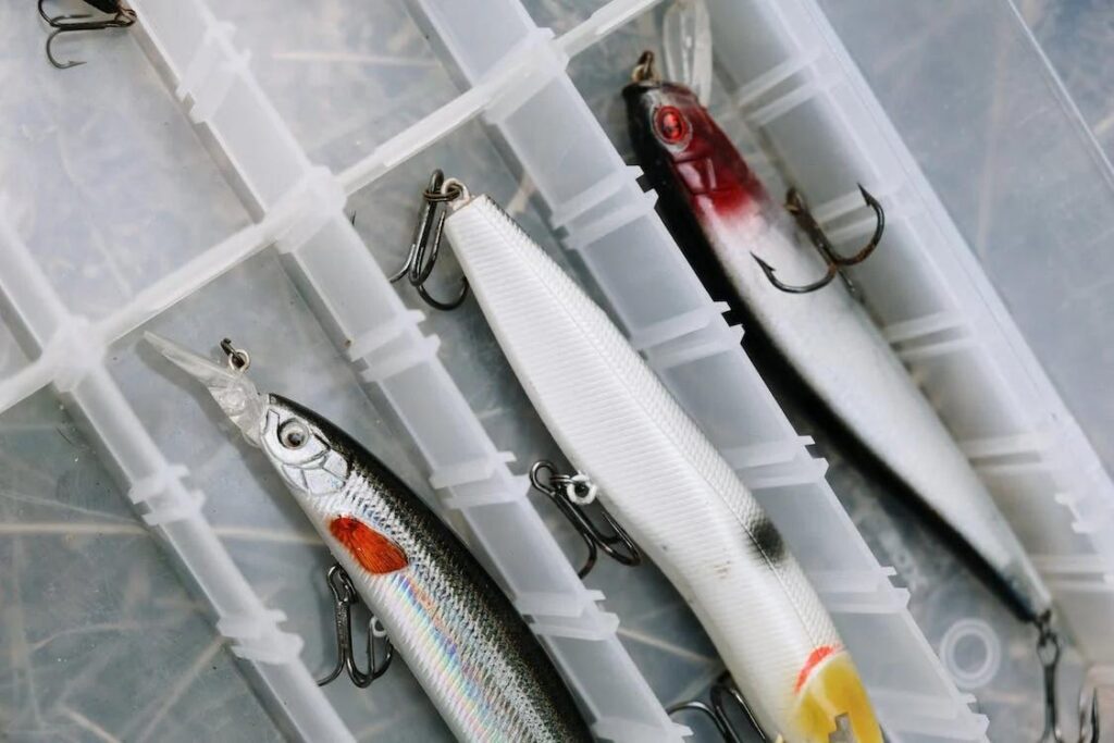 Some fish are attracted to soft bodied lures.