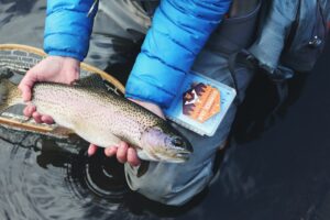 Household items as fish bait