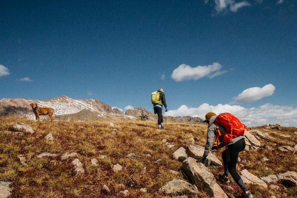 Hiking 101